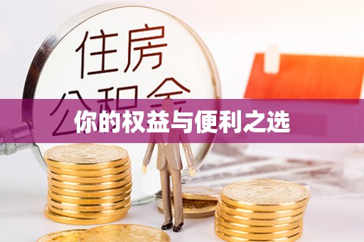 洪洞你的权益与便利之选