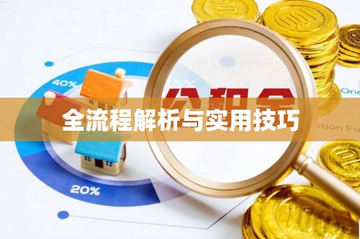 洪洞全流程解析与实用技巧