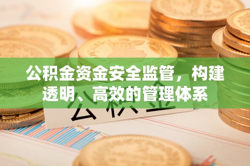 洪洞公积金资金安全监管，构建透明、高效的管理体系