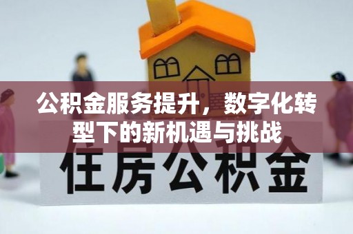 洪洞公积金服务提升，数字化转型下的新机遇与挑战