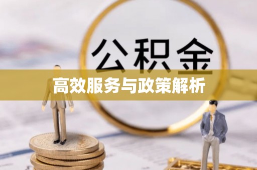 洪洞高效服务与政策解析