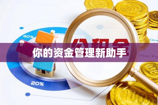 洪洞你的资金管理新助手