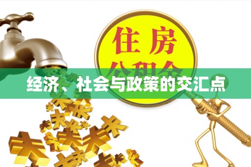 洪洞经济、社会与政策的交汇点