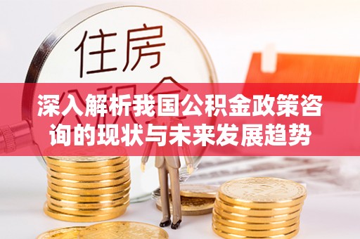 洪洞深入解析我国公积金政策咨询的现状与未来发展趋势