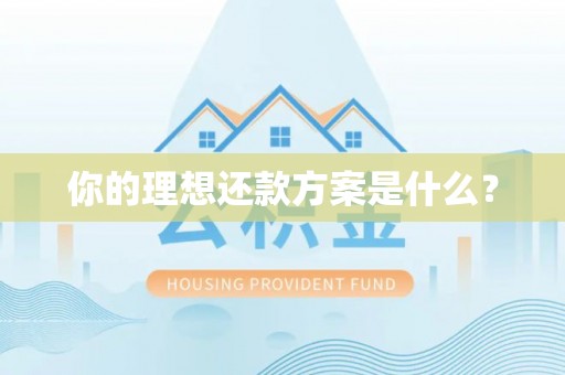 洪洞你的理想还款方案是什么？