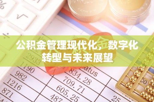 洪洞公积金管理现代化，数字化转型与未来展望