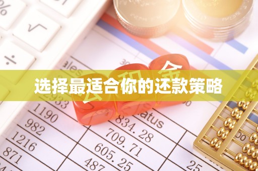 洪洞选择最适合你的还款策略