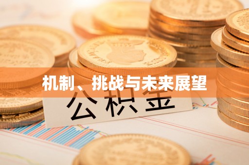洪洞机制、挑战与未来展望