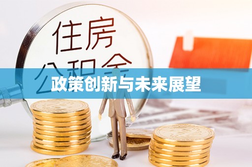 洪洞政策创新与未来展望