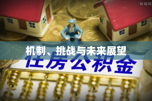 洪洞机制、挑战与未来展望